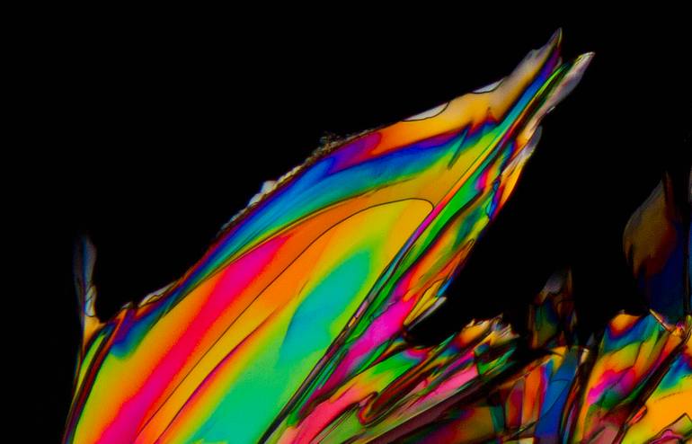 Original Abstract Floral Photography by Antonio Romero