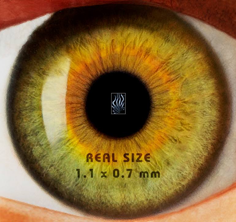 Original Abstract Nature Photography by Antonio Romero