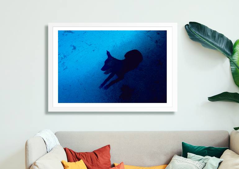 Original Contemporary Animal Photography by Alan Powdrill