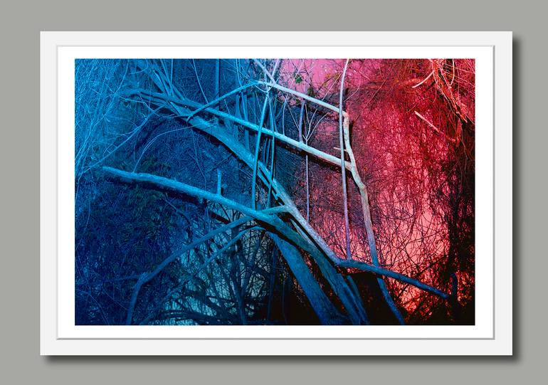Original Contemporary Landscape Photography by Alan Powdrill