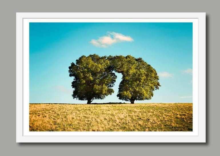 Original Abstract Landscape Photography by Alan Powdrill