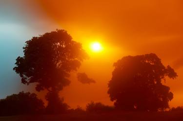 Two Oak Trees & Orange Sky, Wales - Limited Edition of 20 thumb