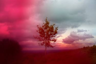 Pink Tree & Landscape, Wales - Limited Edition of 20 thumb