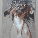 Mr. Xolo by Carlos Ruiz
