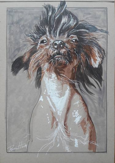 Print of Realism Animal Drawings by Carlos Ruiz