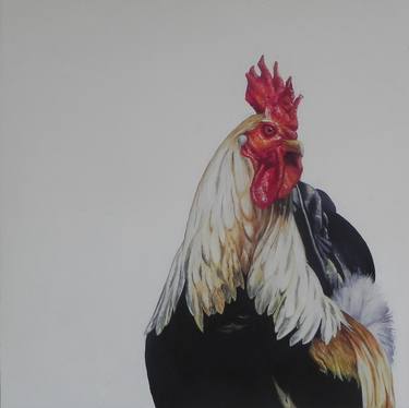 Portrait of a Rooster image