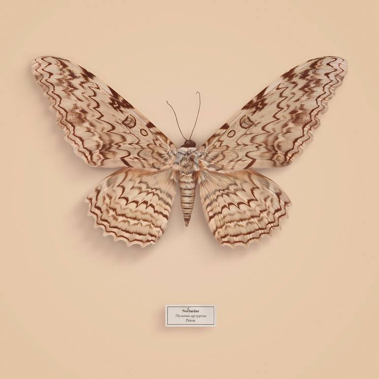 Original Conceptual People Photography by Christian Tremblay