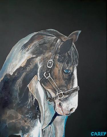 Original Horse Paintings by Sheila Carey