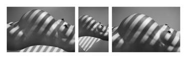 Triptych Stripes - Limited Edition 1 of 5 thumb