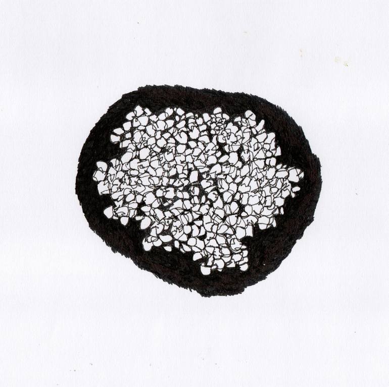 lcss-613 Drawing by David Ronce | Saatchi Art