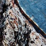 Blue Rings - Limited Edition 1 of 20 by Bruce Talbot
