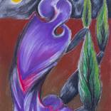 Nightshade in Violet by Chris Jensen
