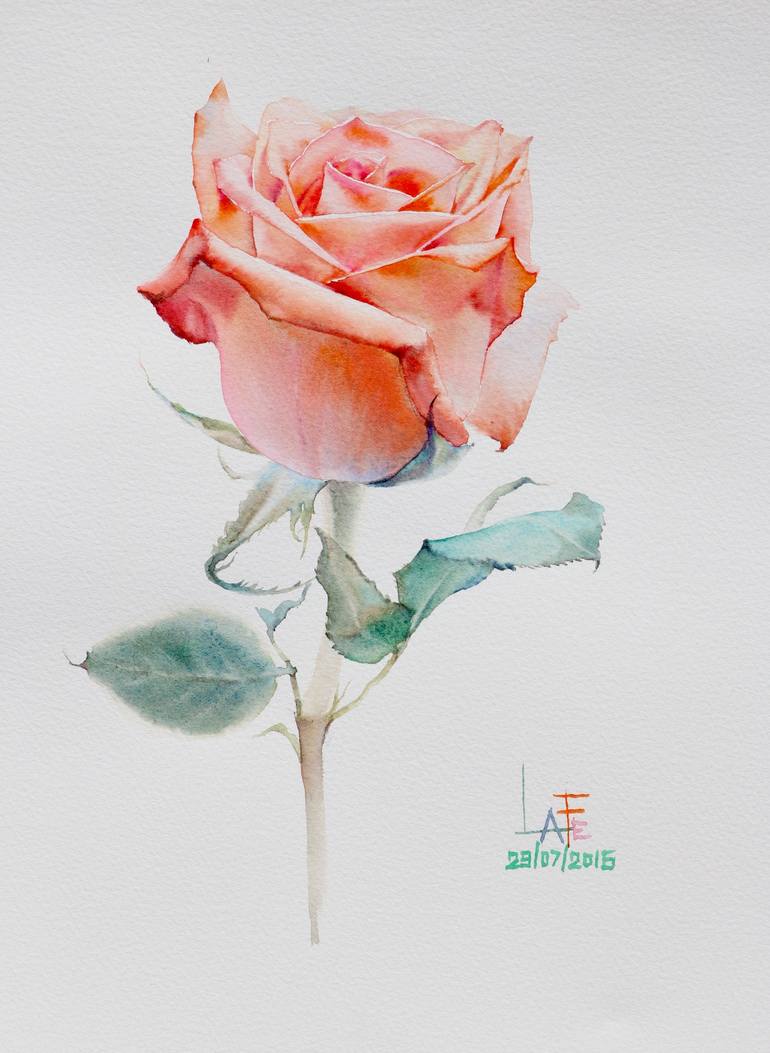 Rose Watercolor Painting Art & Collectibles Sibawor.id
