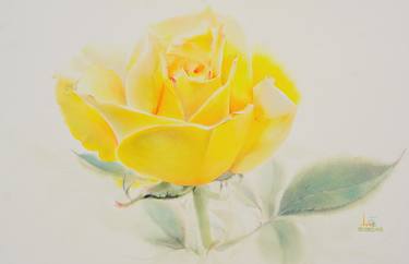Original Fine Art Floral Painting by La Fe