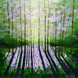 Sunlight Woodland Impressions by Amanda Horvath
