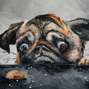 Collection Man's best friend... the DOG!