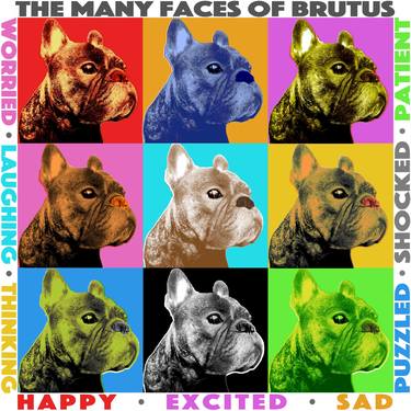 'THE MANY FACES OF BRUTUS' thumb