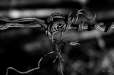 Wire Knot Abstract - Limited Edition of 20 thumb