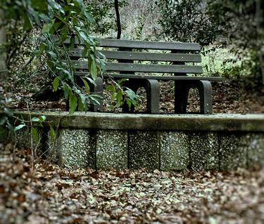 Lonely Park Bench thumb