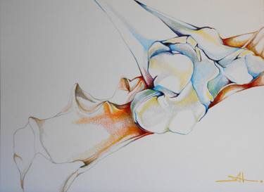 Original Fine Art Body Drawings by Akemi Watanabe