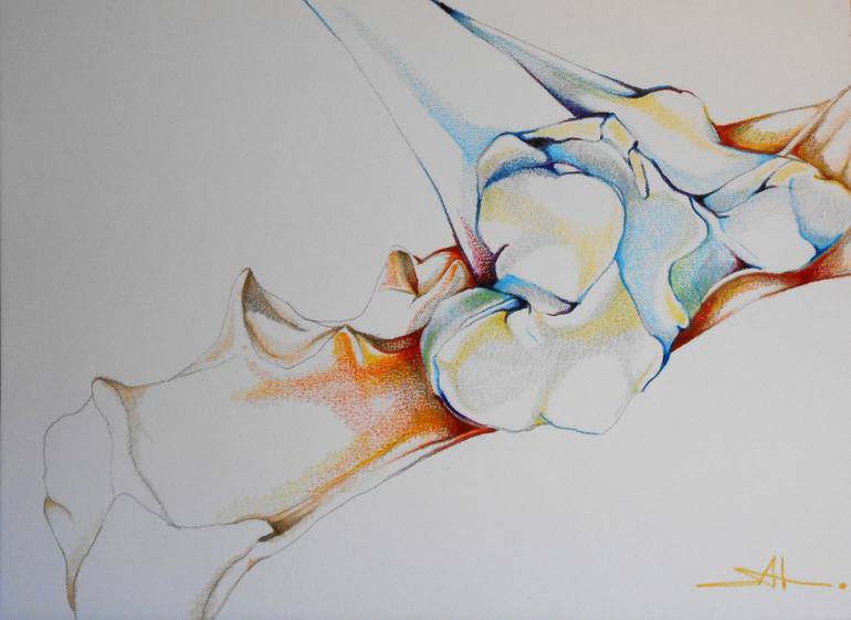 Original Fine Art Body Drawings by Akemi Watanabe