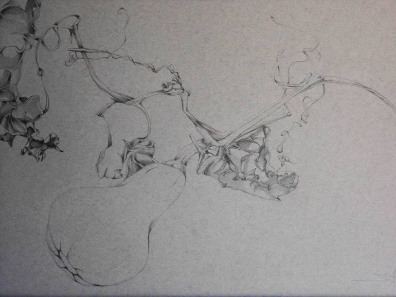 Original Realism Botanic Drawings by Akemi Watanabe