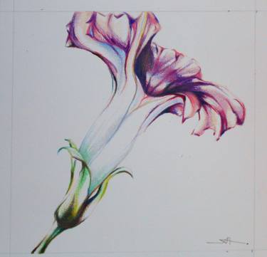 Original Expressionism Botanic Drawings by Akemi Watanabe
