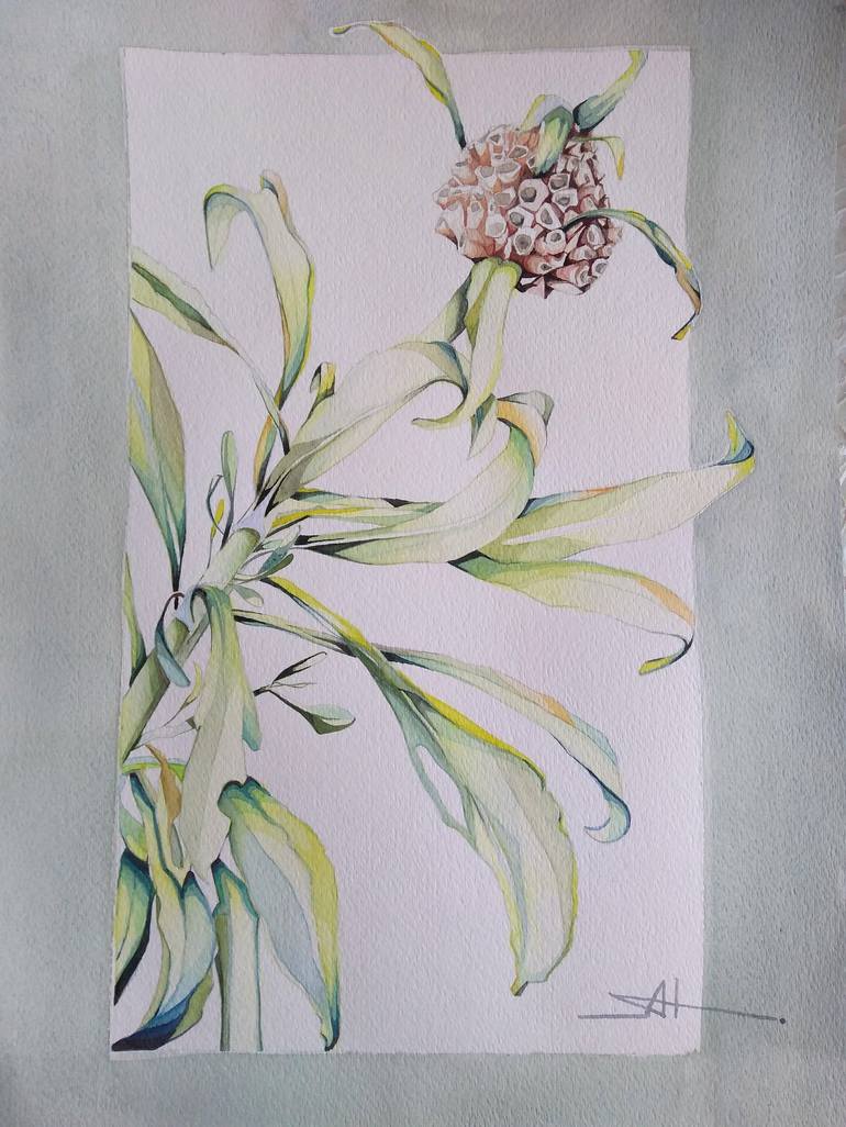 Original Fine Art Botanic Paintings by Akemi Watanabe