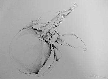 Original Expressionism Botanic Drawings by Akemi Watanabe