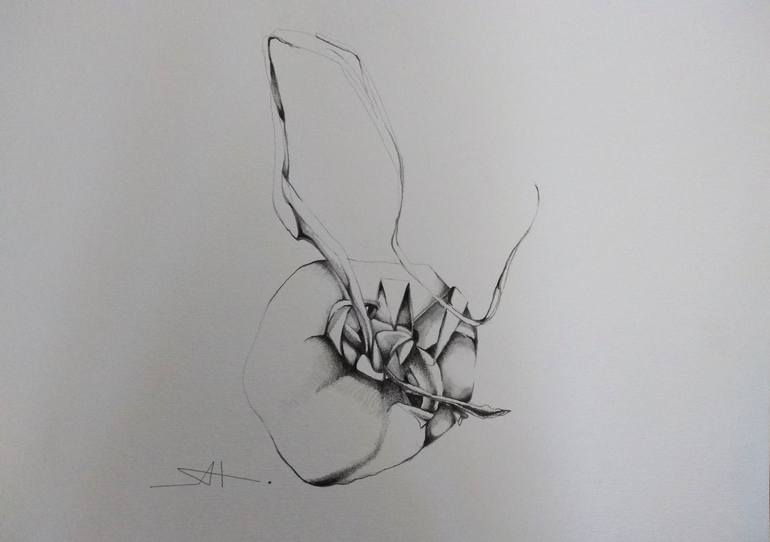 Original Expressionism Botanic Drawings by Akemi Watanabe