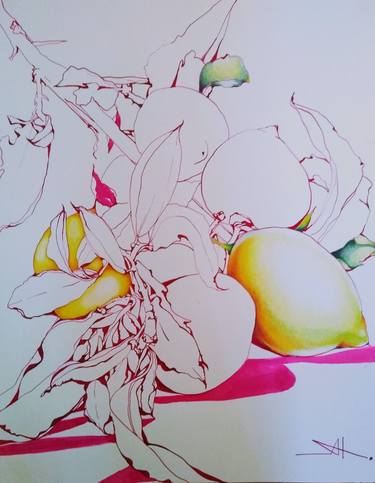 Original Botanic Drawings by Akemi Watanabe