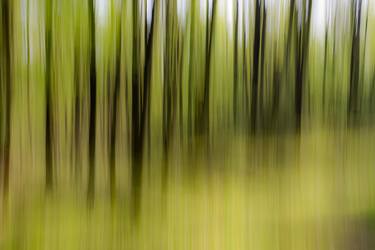 Original Impressionism Nature Photography by Dieter Mach