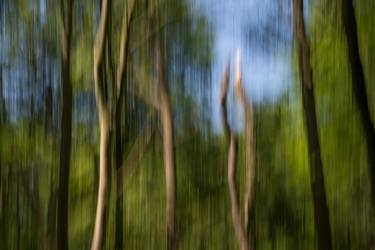 Original Impressionism Nature Photography by Dieter Mach