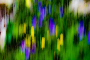 Original Abstract Nature Photography by Dieter Mach