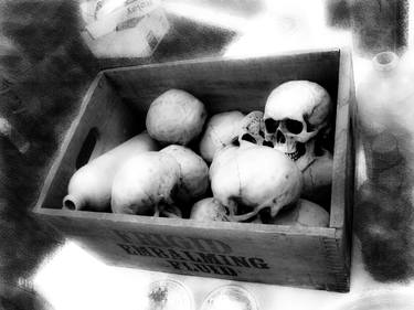 Box of Skulls thumb