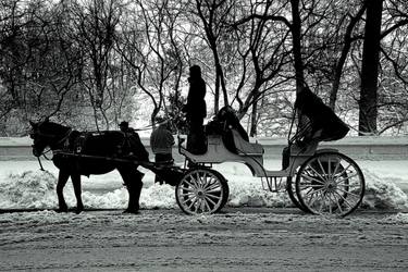 Print of Horse Photography by Jeff Watts