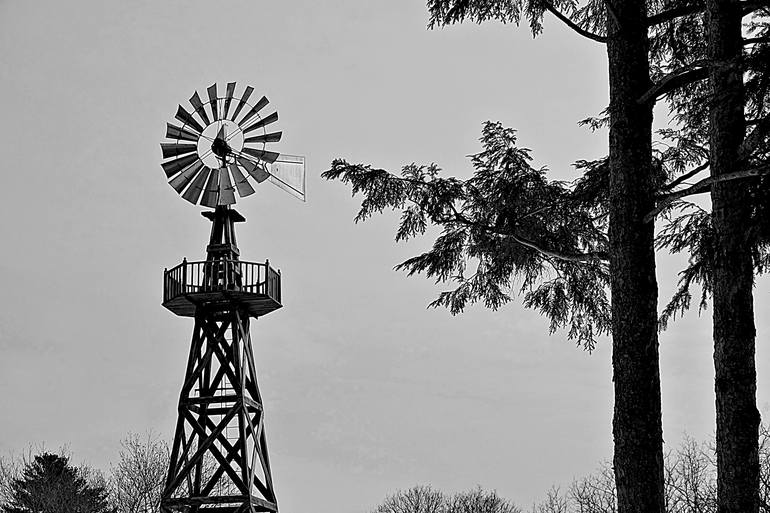 windmill limited