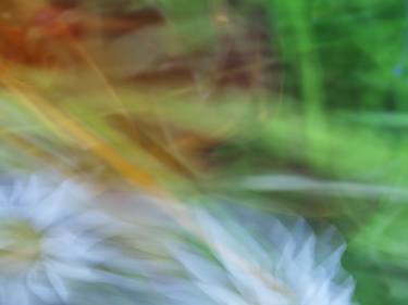 Original Abstract Nature Photography by Mary Jane Gomes