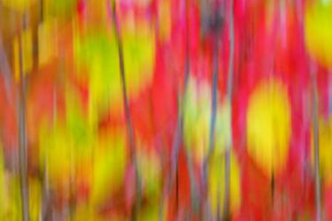 Original Abstract Nature Photography by Mary Jane Gomes