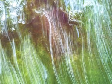 Original Abstract Nature Photography by Mary Jane Gomes