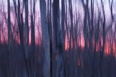 Original Abstract Landscape Photography by Mary Jane Gomes