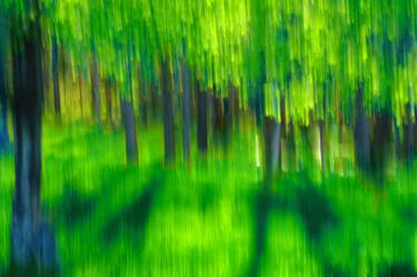 Original Abstract Tree Photography by Mary Jane Gomes