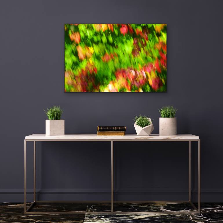 Original Abstract Botanic Photography by Mary Jane Gomes