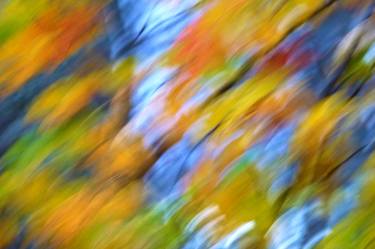 Original Abstract Seasons Photography by Mary Jane Gomes