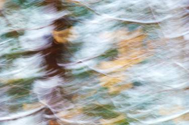 Original Abstract Seasons Photography by Mary Jane Gomes