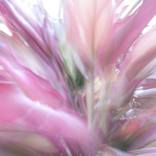 SunBathed 3 - Limited Edition of 5 by Mary Jane Gomes