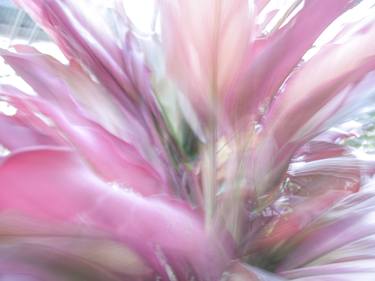 Original Impressionism Abstract Photography by Mary Jane Gomes