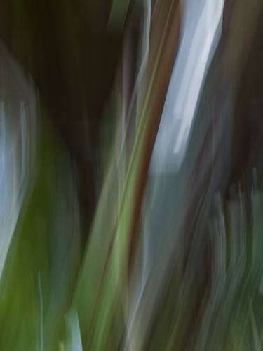 Original Fine Art Abstract Photography by Mary Jane Gomes