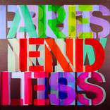 Endless by Niki Hare