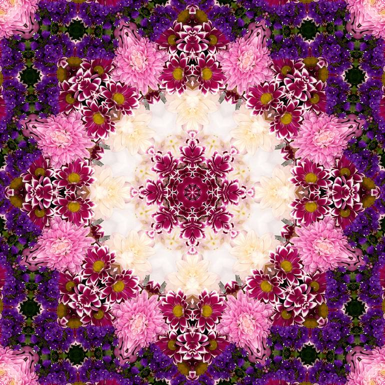 Featured image of post View 29 Flower Photography Kaleidoscope